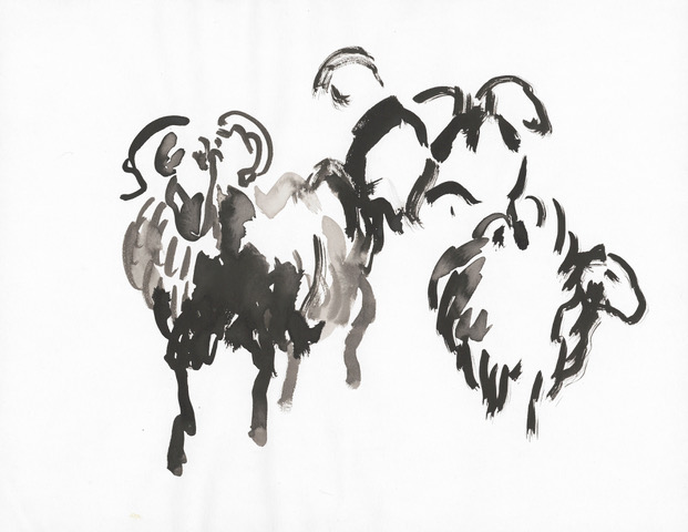 Schafe im Winter Thomas Nolden 2021 Tusche auf Papier